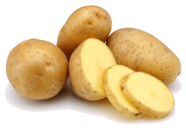 La Pomme De Terre Craint Elle Le Gel Pomme de terre Bintje - Présentation et Recettes - Goûtu.org